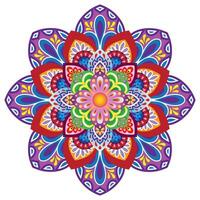 Mandala flower color vector image.