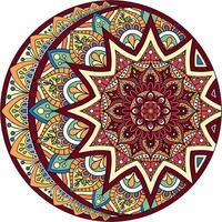 Mandala flower color vector image