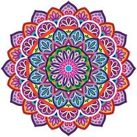 Mandala flower color vector image.