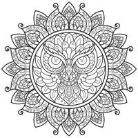 Owl,Mandala flower for adult coloring book. vector
