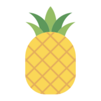 Pineapple illustration design png