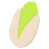 Pistachio illustration design png