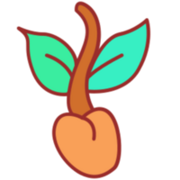 Sprouting illustration design png