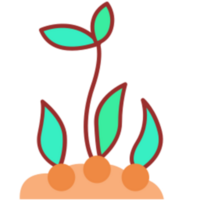 Botany illustration design png