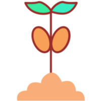 Botany illustration design png