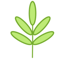 Leaf illustration design png