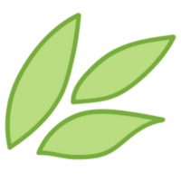 Leaf illustration design png