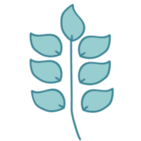 Leaf illustration design png