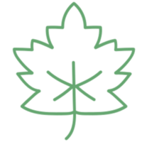 Leaf illustration design png