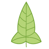 Leaf illustration design png