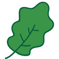 Leaf illustration design png