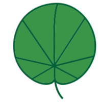 Leaf illustration design png