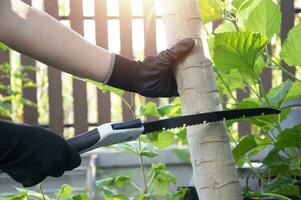 Use the saw for cutting trees, gardening, and pruning. photo