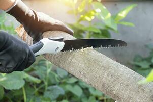 Use the saw for cutting trees, gardening, and pruning. photo