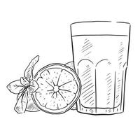 A line drawn glass of orange juice in black and white with a line drawn cut orange and mint leaves to the left hand side. vector