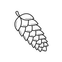 Fir cone. Hand drawn sketch icon of botanical element. Isolated vector illustration in doodle line style.