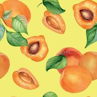 Watercolor whole and segment apricots seamless pattern isolated on yellow. Orange fruits illustration. Peach, leaves, nectarine hand drawn. Design element for package, wrapping, textile, background vector