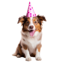 AI generated Adorable dog wearing pink party hat posing over png