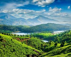 té plantaciones y río en colinas foto