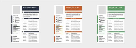 professional curriculum vitae template vector