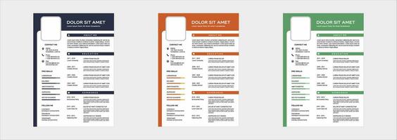 professional curriculum vitae template vector