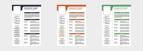 professional curriculum vitae template vector