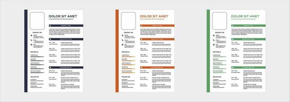 professional curriculum vitae template vector