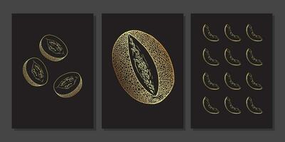 Set of luxury gold wall art. Golden honeydew melon. Gold slice, half, whole cantaloupe melon illustration. Minimalist line art with caribbean melon on black background vector