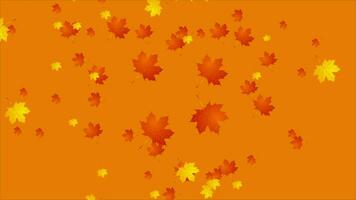 Heart from maple leaves autumn video animation