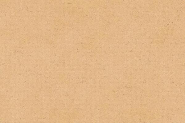 A cardboard paper vector background that is perfect for a variety of uses, such as website designs, social media posts, and marketing materials.