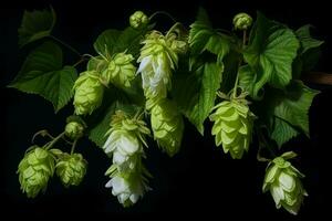 Delicate Hop flowers. Generate Ai photo