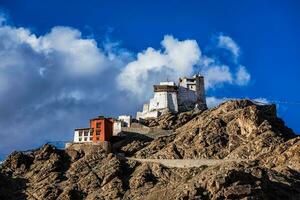 Namgyal Tsem gompa and fort. Leh, Ladakh photo