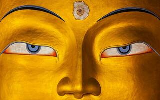 Maitreya Buddha face close up, Ladakh photo