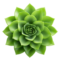 AI generated Succulent plant clip art png