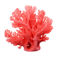 AI generated Red coral clip art png