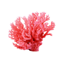 AI generated Red coral clip art png