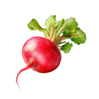 AI generated Radish clip art png