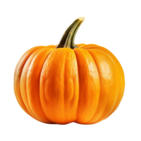 AI generated Pumpkin clip art png