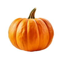 AI generated Pumpkin clip art png