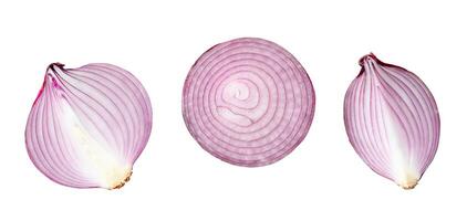 Top view of fresh red or purple onion halves and quarter in set isolated on white background with clipping path photo