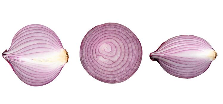 Top view of fresh red or purple onion halves with slice in set isolated on white background with clipping path photo