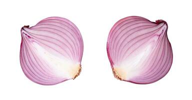 Top view of fresh red or purple onion halves in set isolated on white background with clipping path photo