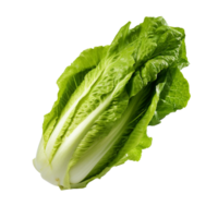 AI generated Romaine lettuce clip art png
