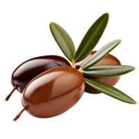 AI generated Olives with leaves clip art png