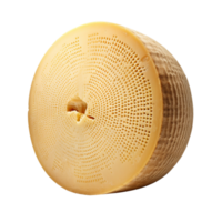 ai généré Parmesan fromage roue agrafe art png