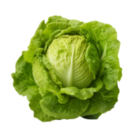 ai généré vert salade agrafe art png