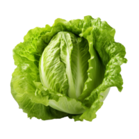 ai généré vert salade agrafe art png