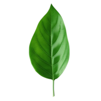 AI generated Green leaf clip art png