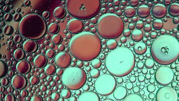 Abstract Colorful Food Oil Drops Bubbles and spheres Flowing on Water Surface video