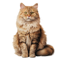 AI generated Cat clip art png